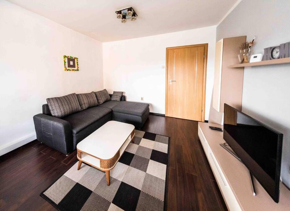 Appartement Apartament Timişoara Extérieur photo