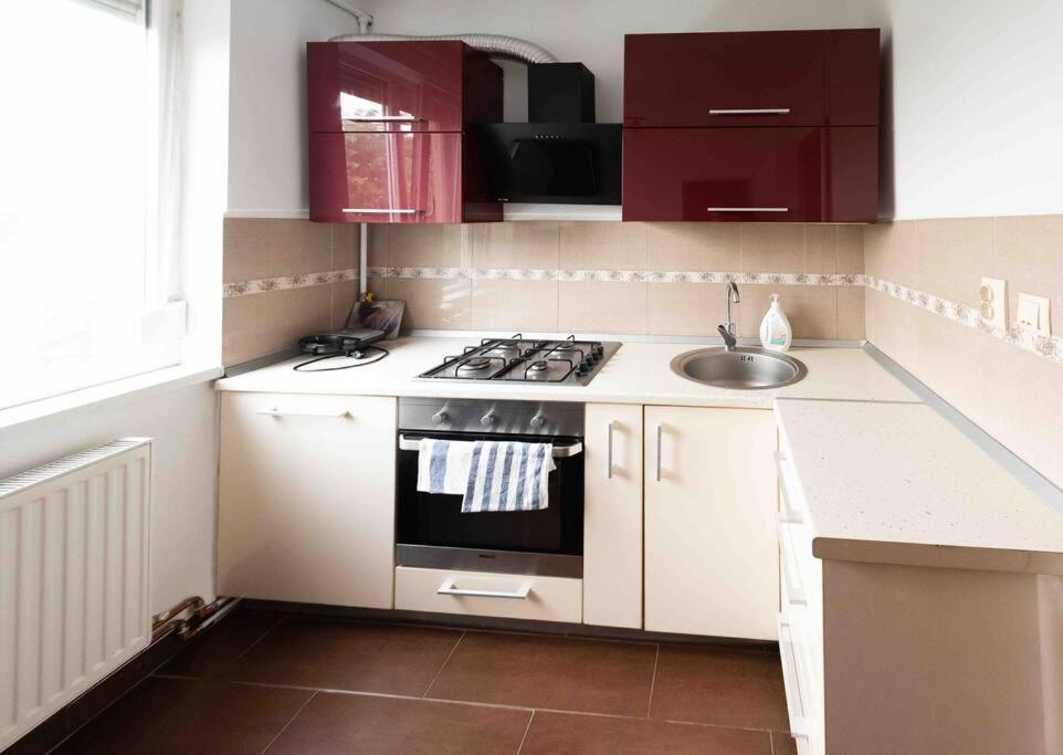 Appartement Apartament Timişoara Extérieur photo