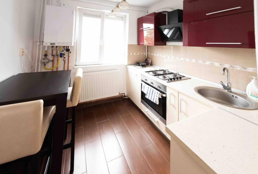Appartement Apartament Timişoara Extérieur photo